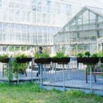 Botanischer Garten Leipzig – Ein grünes Paradies voller Geschichte, Vielfalt und Inspiration