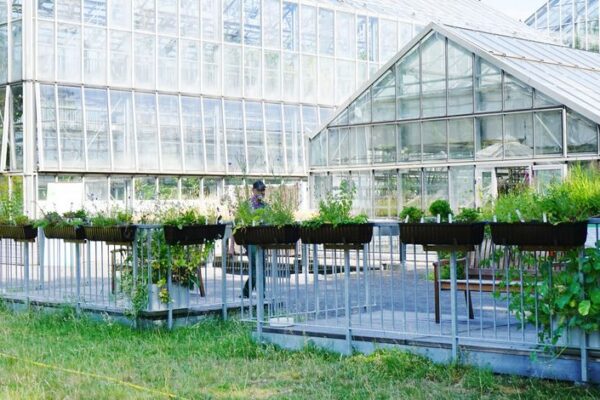 Botanischer Garten Leipzig – Ein grünes Paradies voller Geschichte, Vielfalt und Inspiration